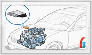 Enjeksiyon Beyni Tamiri